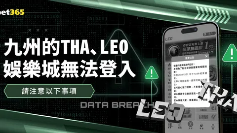 穆帅访谈大公开：深度解析激情教练与职业蓝图