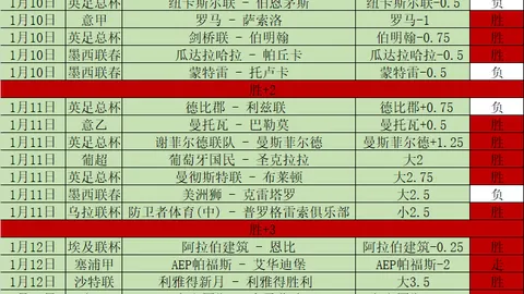 阿德利&希克：聚焦自我胜利，不问勒沃库森不败神话