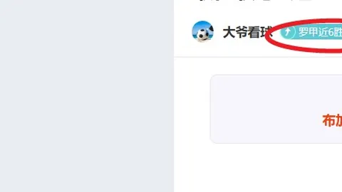 近期大乐透期号专家推荐：18中13战绩，拜仁主场优势突出